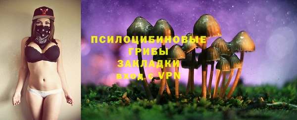 не бодяженный Аркадак