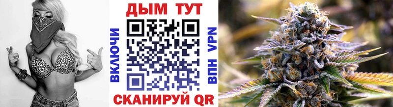 Бошки Шишки семена  Купить где  Сосновка 